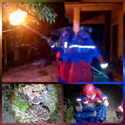 Sarang Tawon Vespa Meresahkan Warga, Damkar Lakukan Pemusnahan dengan Cara Dibakar