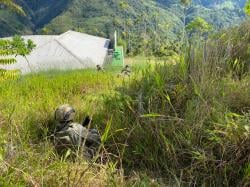 Satgas Damai Cartenz Siaga Satu, Puskesmas Kiwirok Jadi Sasaran Pembakaran KKB