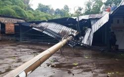 Pohon hingga Tiang Listrik Roboh usai Hujan Disertai Angin Kencang di Kuningan