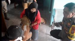 Hari Rabies Sedunia: Puskeswan Gadingrejo Fasilitasi Vaksinasi Gratis untuk Kucing dan Anjing