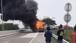 Bus PO Berlian Jaya Terbakar di Tol Batang–Semarang, Seluruh Penumpang Selamat