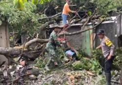 Hujan Deras Disertai Angin Kencang di Kradenan Sebabkan Warung Dan Rumah Warga Rusak