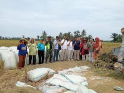 Sigap Jelang Panen Raya: Bulog Sumut Siap Serap 41.102 Ton Gabah, Patok Harga Minimal Rp6.500/Kg