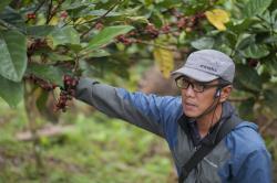 Hari Kopi Sedunia: Petani Excelsa Sumedang Bangkit dengan Dukungan Digital