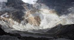 Danantara Klaim Freeport Setuju Berikan 12 Persen Saham Gratis ke Indonesia