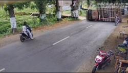 Hindari Pemotor, Truk Angkut Kayu Gelondongan Terguling Hingga Tutup Badan Jalan