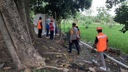 Tewaskan 2 Warga, Jebakan Tikus Listrik di Gayam Bojonegoro Ditertibkan Petugas