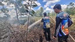Cuaca Ekstrem Picu Kebakaran Lahan Gambut 1 Hektare di Palangka Raya