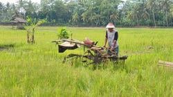 Petani di Pangandaran Kelimpungan, Tiga Traktor Hilang Dalam Semalam