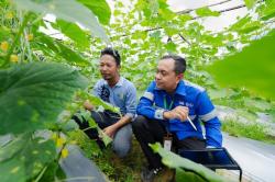 Memperkuat Daya Saing Produk Tani: CK Lakukan Pendampingan Berkelanjutan untuk Petani Mitra