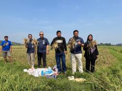Stabilitas Harga Pangan, Bulog Jabar Serap 754 Ton Gabah Petani
