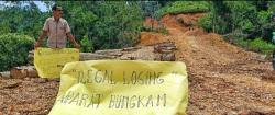 Warga Tanjuang Balik Geruduk Lokasi Pembalakan Liar, Desak Aparat Bertindak Tegas