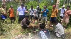 Geger Tulang Belulang Manusia Ditemukan di Hutan Gelam, Korban Diduga IRT yang Hilang sejak Agustus