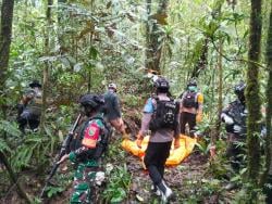 BREAKING NEWS Dewan Adat Kecam Tewasnya 7 Orang oleh OPM