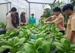 Siswa SLB di Purwakarta Diajarkan Hidroponik untuk Bekal Kemandirian