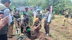Hijaukan Kembali Menoreh, DLHK Jateng Dukung Ketahanan Air dan Kawasan Borobudur
