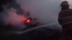 Lima Kambing Terpanggang Usai Kandang Ternak Terbakar, Pemilik Rugi Puluhan Juta