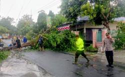 Cuaca Ekstrem Hantam Ngimbang dan Sambeng, Puluhan Rumah Rusak Diterjang Angin Kencang