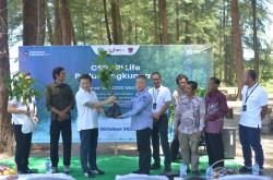 BRI Life Tanam 2.000 Mangrove, Wujudkan Komitmen Lingkungan Berkelanjutan