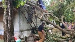 Dihantam Angin Kencang, Rumah Warga Ujung Jaya Pandeglang Rusak Parah Tertimpa Pohon