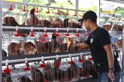 Telur GAYATRI Bojonegoro Dongkrak Ekonomi Warga, Pemkab Siap Perluas Program di P-APBD