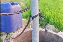 Kabel Sibel Milik Petani di Madiun Jadi Sasaran Maling