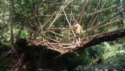 Jembatan Lapuk Purbahayu, Warga Pangandaran Bertaruh Nyawa Demi Bisa Menyeberang