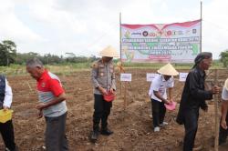 Polres Purworejo Tanam Serentak Jagung, Dukung Ketahanan Pangan dan Dongkrak Ekonomi Warga