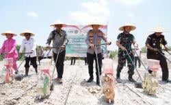 Tanam Jagung Serentak Kuartal IV 2025, Polres Sukoharjo Manfaatkan 7 Hektare Lahan Tidur