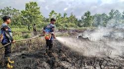 Hampir Setengah Hektare Lahan Gambut Terbakar, Tim Dalkarhutla Padamkan Api Gunakan Air Parit