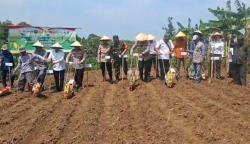 Polres Cilegon Tanam Jagung Fan Gelar Pasar Murah, Dukung Ketahanan Nasional