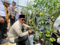 Pesantren di Bandung Jadi Pelopor Pertanian Terpadu dan Kemandirian Ekonomi Desa