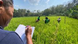 Pertanian Ramah Lingkungan Boyolali Kian Dilirik, Program SRP Bikin Hasil Panen Naik