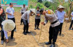 Dukung Swasembada Pangan Nasional, Kapolres Barru Tanam Jagung Bareng Petani