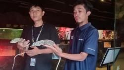 Pertama di Indonesia, Dua Anak Komodo Lahir Secara Partenogenesis di Lembang Park and Zoo