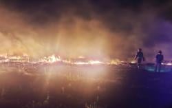 Kebakaran Kebun Tebu 7,8 Hektare Bikin Panik Warga, Penyebab Belum Diketahui