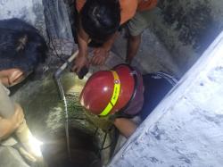 Heroik, Damkar Evakuasi Kucing Tercebur Sumur di Jombang Selama Satu Jam