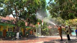 Hama Ulat Bulu Serang Sekolah SD, Siswa dan Guru Alami Gatal - gatal