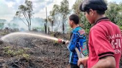 Musim Hujan Tiba, Kebakaran Lahan Gambut Masih Terjadi di Palangka Raya