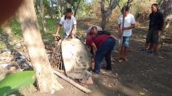 Lari ke Tengah Sawah, Pelaku Sabung Ayam Kabur Saat Digerebek