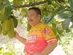 Ali Mufthi Temukan Makna Hidup di Antara Politik dan Kebun Buah