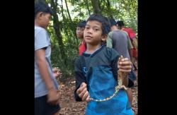 Saat Bocah Depok Asyik Bermain dengan Biawak Cilik, Keceriaan di Kawasan Hutan Buperta Cibubur