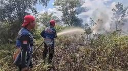 Kebakaran Lahan di Palangka Raya Kembali Terjadi, Warga Diimbau Tidak Bakar Lahan Sembarangan