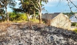 Kebakaran Lahan Nyaris Lahap Perumahan di Lebakwangi, Damkar Gercep Cegah Meluas