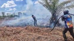 Kebakaran Lahan Dekati Pondok dan Sarang Walet, Tim Dalkarhutla Gerak Cepat Padamkan Api