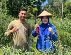DPRK Aceh Selatan Dorong Pemerintah dan UMKM Wujudkan Kemandirian Pasokan Program MBG