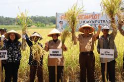 Pemkab Purworejo Dorong Petani Terapkan Teknologi Usaha Tani Modern