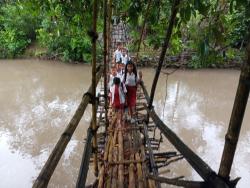 Meniti Harapan di Atas Bambu Rapuh: Anak-anak Kampung Jengok Pertaruhkan Nyawa Demi Sekolah