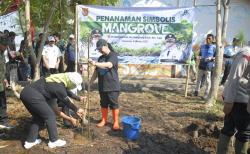 Dukung Mageri Segoro, Wali kota Semarang, Agustina Wilujeng Gerakkan Tanam Cemara Laut di Pesisir