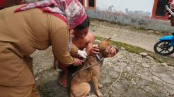 Cegah Rabies, Pasaman Gencarkan Vaksinasi Gratis untuk Hewan Peliharaan